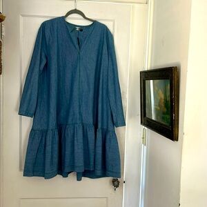 Carleen Blue Denim Dress